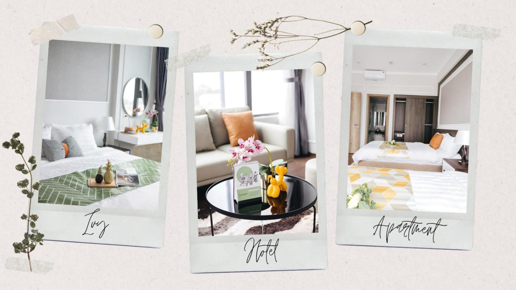 Ivy Hotel & Apartment - Stay 24H 河内 外观 照片